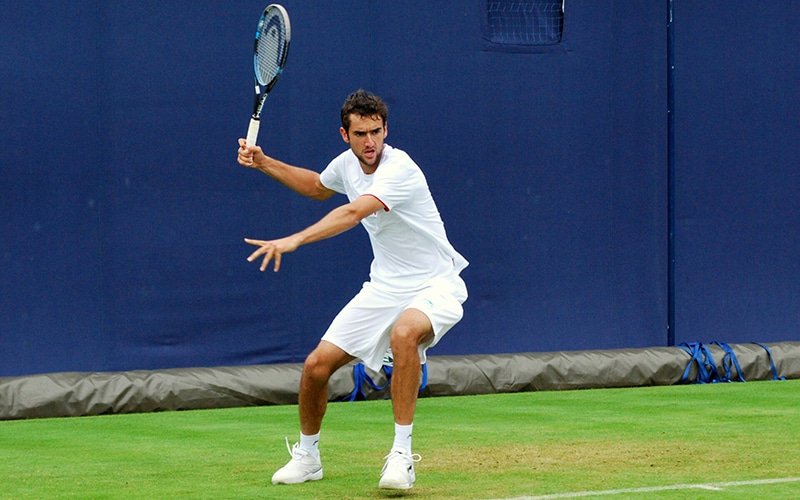 Marin Čilić 2012.
