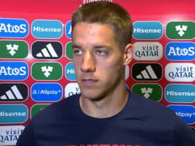 Mario Pašalić daje izjavu za medije