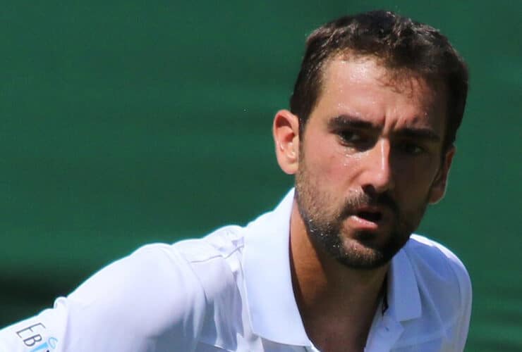 Arthur Fery Marin Čilić: Čilić na Wimbledonu